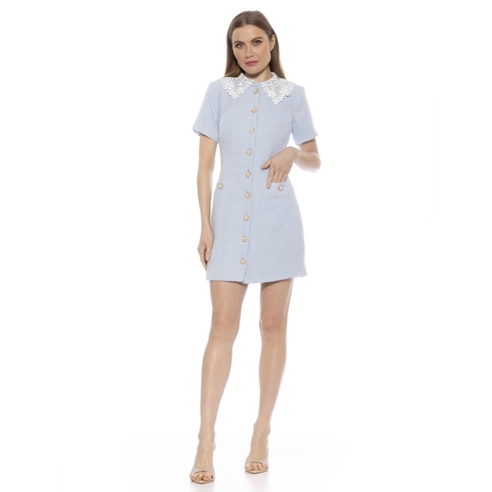 Alexia Admor Light Blue Dress with White Lace Collar